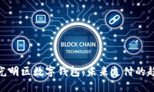 探索深圳光明区数字钱包：未来支付的趋势与优势