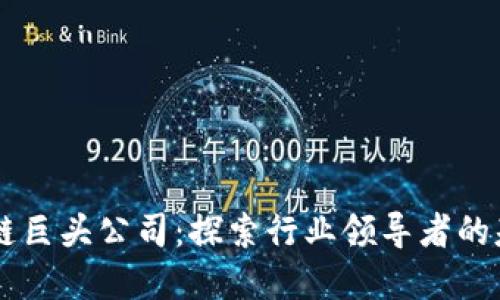 区块链巨头公司：探索行业领导者的基本篇