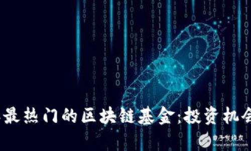 探索2023年最热门的区块链基金：投资机会与风险解析