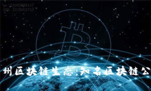 探索泸州区块链生态：知名区块链公司全览