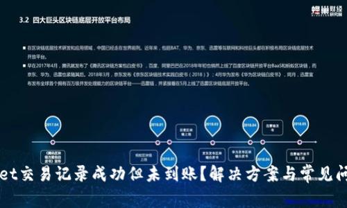 TPWallet交易记录成功但未到账?解决方案与常见问题解析